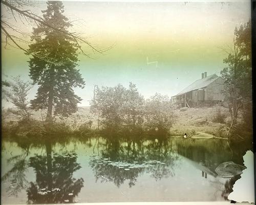 Pond Scene