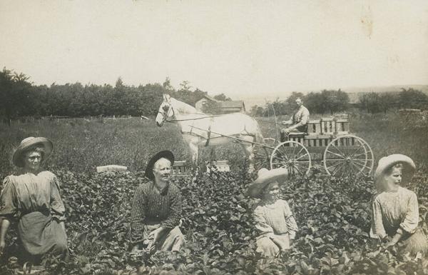 In the Field