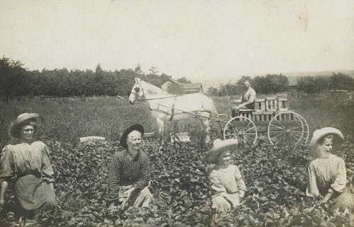 In the Field