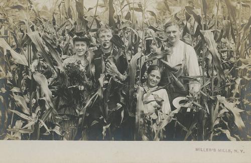 Standing in the Corn
