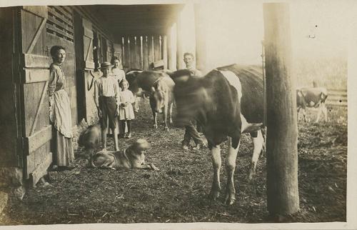 Barnyard