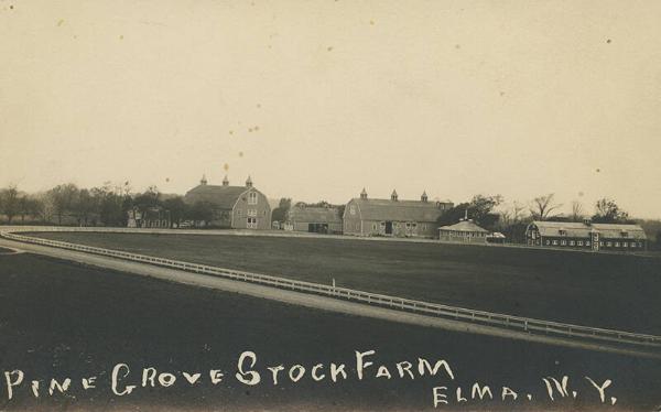 Pine Grove Stock Farm, Elma NY