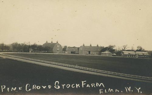 Pine Grove Stock Farm, Elma NY