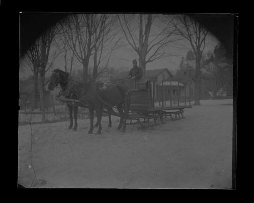 Two Horse Team Pulls Sled