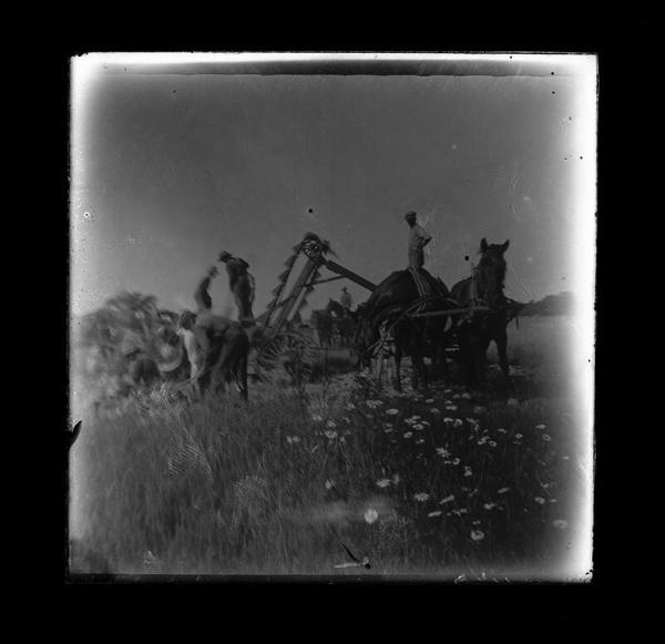 Men in the Field