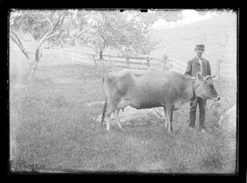 Man with Cow