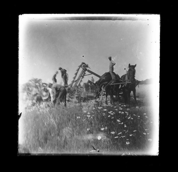 Men in the Field