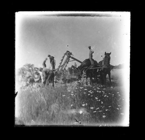 Men in the Field