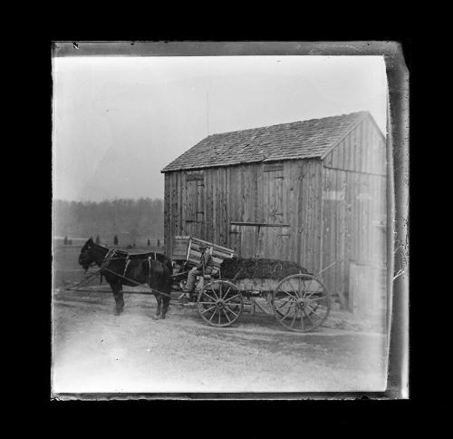 Loaded Wagon