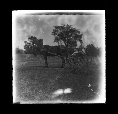 Woman with Cart and Horse