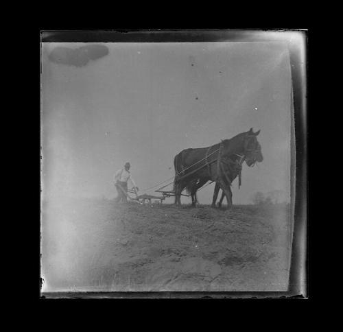 Man with Two Horse Team Plowing Field