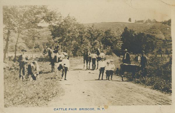 Cattle Fair on Dirt Road
