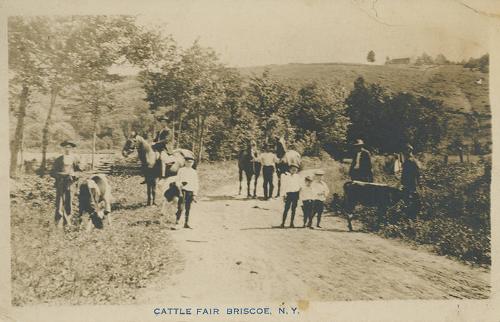 Cattle Fair on Dirt Road