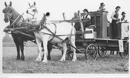 Bicentennial Celebration and Parade: Butternut Buzzards