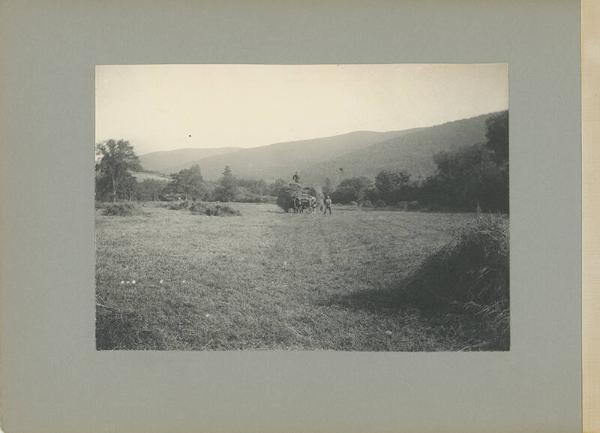 Moving Loose Hay