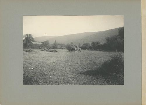 Moving Loose Hay