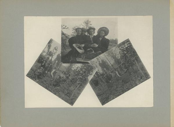 Collage: Hop Pickers