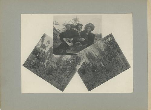 Collage: Hop Pickers