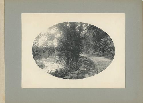 By the River's Edge