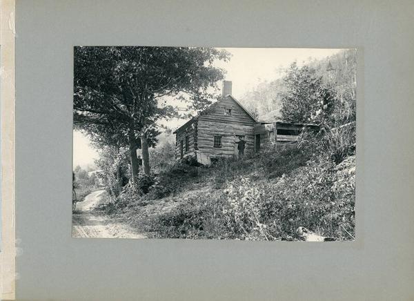 Cabin in the Woods