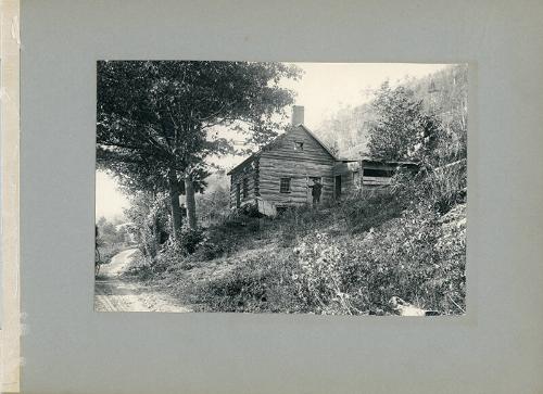 Cabin in the Woods