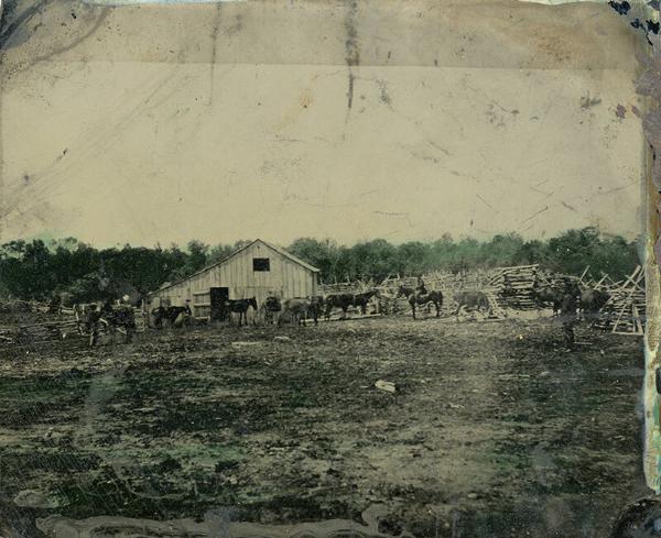 Farm Scene with Horses in a Barnyard