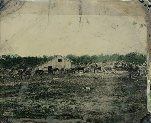 Farm Scene with Horses in a Barnyard