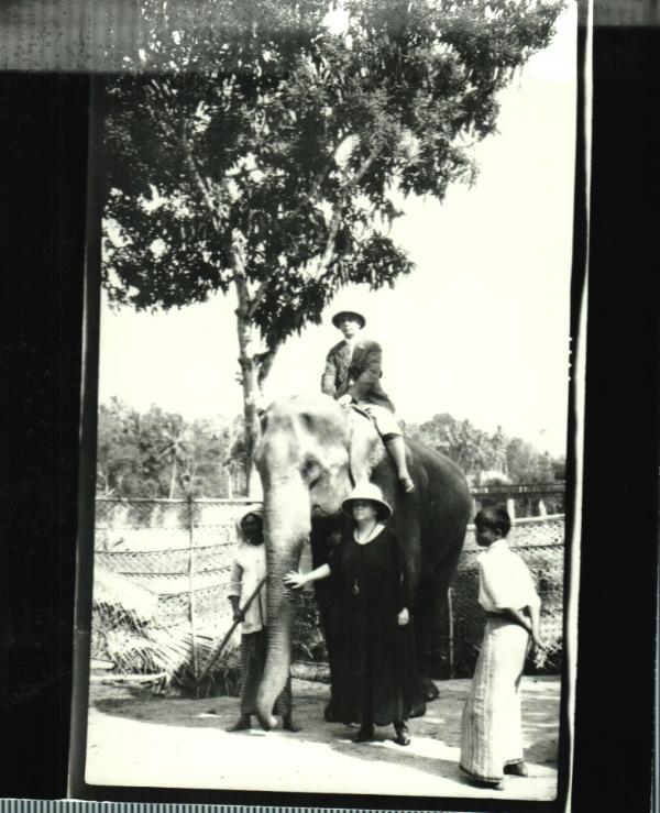 Sitting on an Elephant