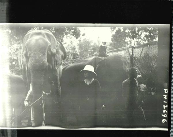 Women Between Two Elephants