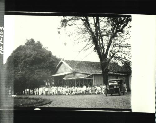 Group of Children