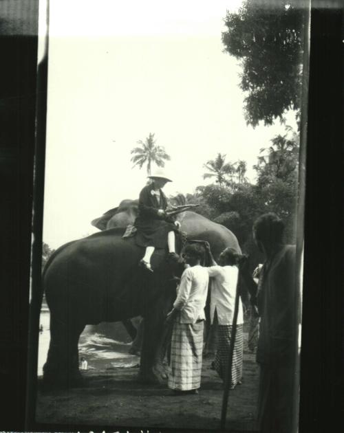 Woman on an Elephant