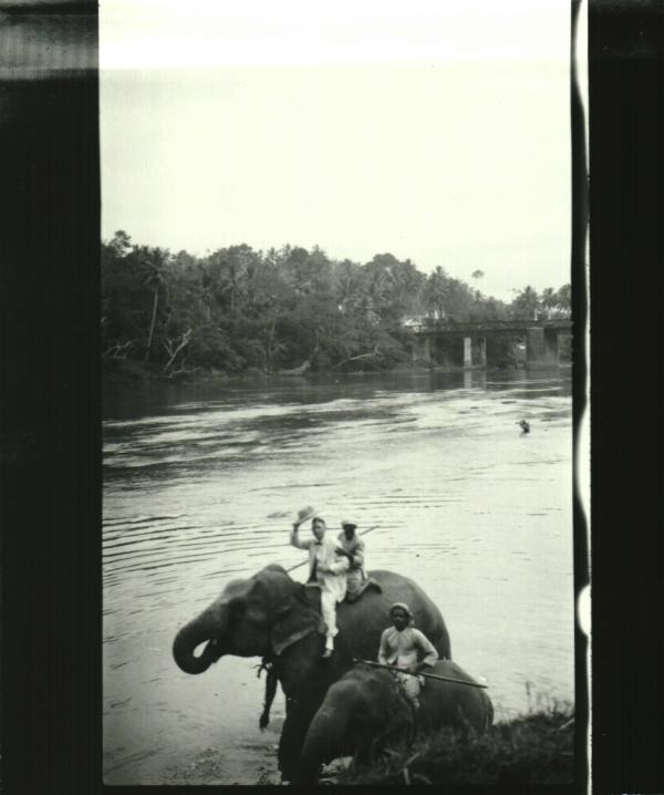 Man on Elephant