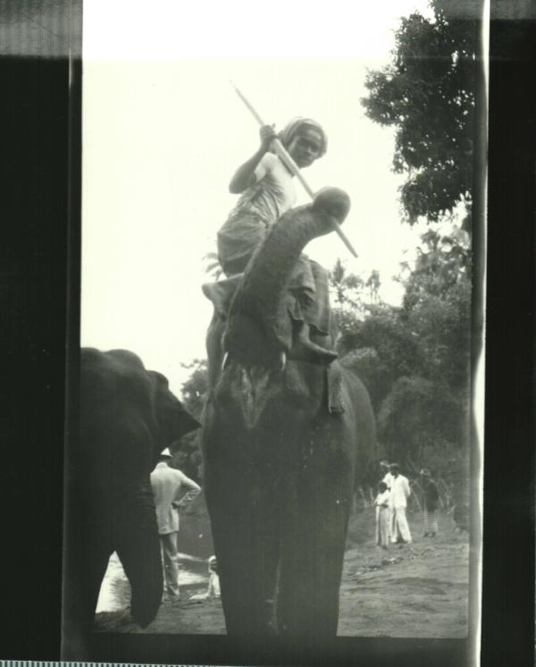 Young Boy on Elephant