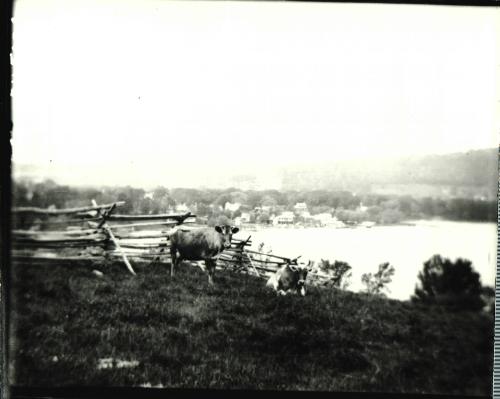 Birdseye View of Cooperstown from East