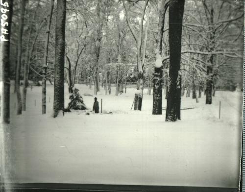 Man in Snow