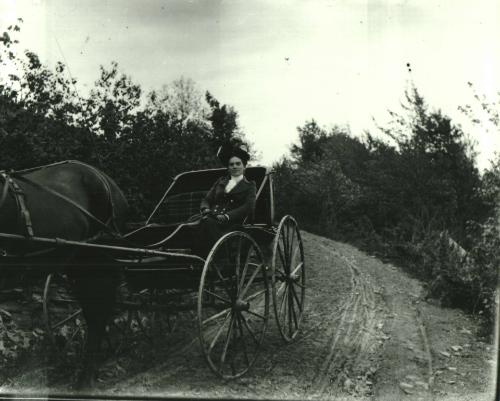 Horse Drawn Carriage