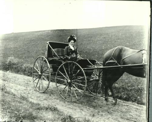 Horse Drawn Carriage