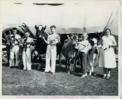 Dairy Cattle Exhibitors 1953