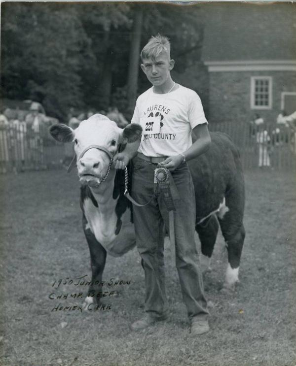 Champion Beef; Hereford 1950