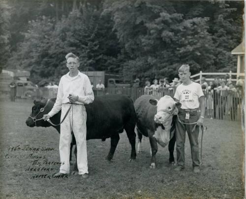 1950 Animals of Show