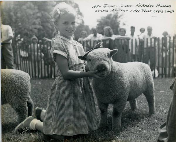 1950 Prize Schropshire  Lamb