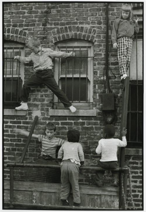 Hyde Park, Chicago, 1961