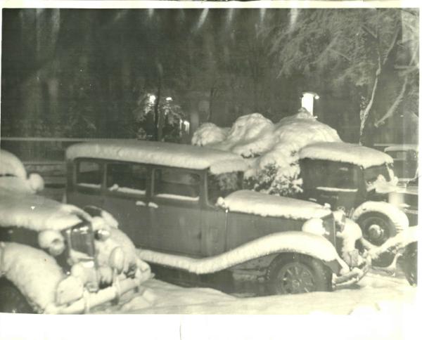 Snow Covered Automobiles