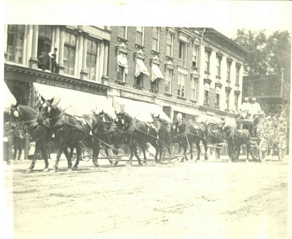 Circus Parade- Horse Team