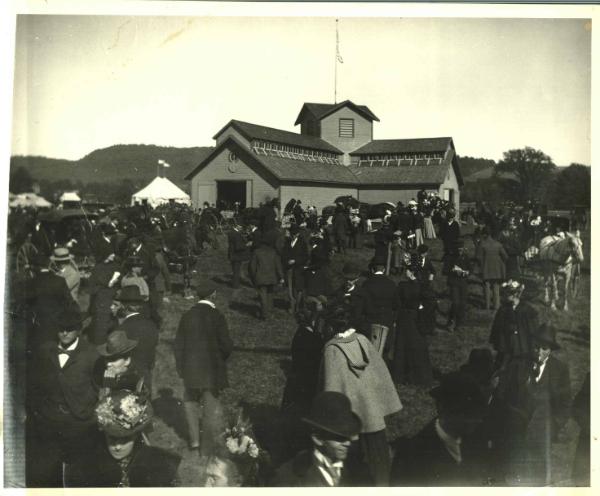 County Fair Crowd