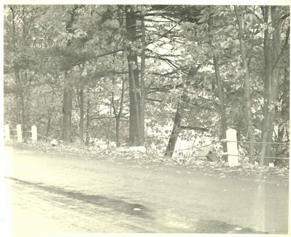 Road with Broken Guard Rail