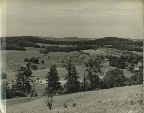 Red Creek Farm From Murphy Hill Road