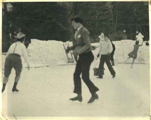 Ice Skaters