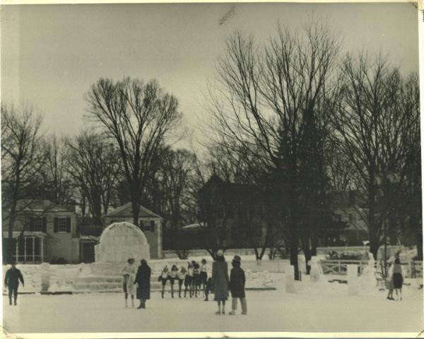 Gathering on the Ice