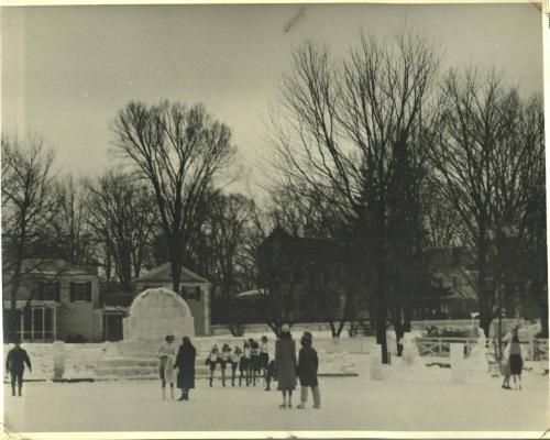 Gathering on the Ice